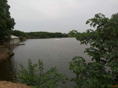 900平精装别墅 450万 休闲山庄、别墅、出售/转让/承包