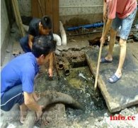 唐山古冶区管道疏通，化粪池清理