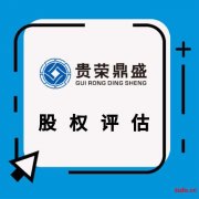 成都股权评估企业评估企业资产评估企业价值评估