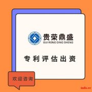 成都专利评估出资知识产权评估实缴软著出资评估实缴注册资本