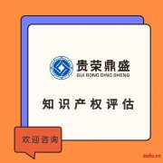 成都专利评估出资知识产权评估实缴软著出资评估实缴注册资本