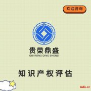 天津市知识产权评估专利入股评估技术软著商标评估