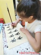苏州少儿书法硬笔培训机构学生成人软笔毛笔字练字班
