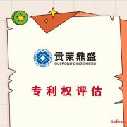 广州市知识产权评估专利出资评估软著增资评估贵荣鼎盛评估