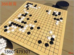 苏州少儿围棋培训机构青少年成人兴趣爱好特长班三六六教育