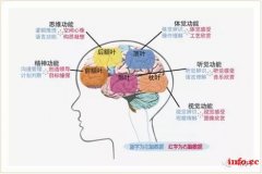 眩晕≠头晕，那到底怎么区分各种“晕”呢？