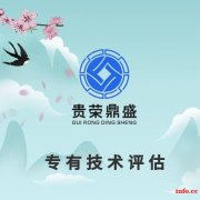 上海市专有技术评估无形资产评估专利评估机构