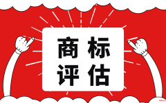 专利出资评估软著实缴评估商标价值评估知识产权评估