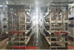 河南中州高层蛋鸡笼养殖养鸡设备立体式鸡笼养殖鸡笼设备