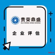 九江市企业股权价值评估股东价值评估企业负债评估