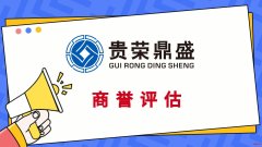 广东省广州市知识产权质押评估专利融资评估