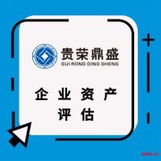 广东省惠州市股权转让评估股权价值评估企业净资产评估