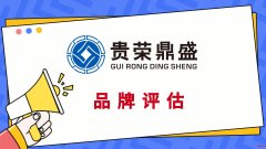 广东省汕尾市商标评估