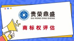 广东省汕尾市商标评估