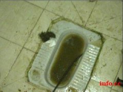 火车北站管道疏通管道清淤清洗清理化粪池清理隔油池抽粪抽泥浆